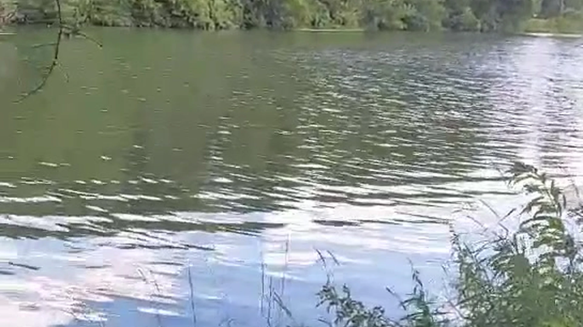 this is a perfect place to fuck….so we did(mandyfrizzle)